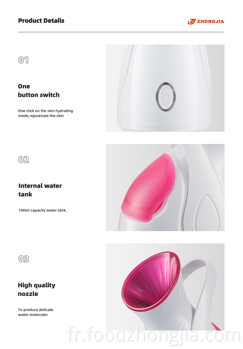 Mini nano nano ionique chaud brume chauffante 3 dans 1 aromathérapie humidificateur bateau à vapeur pour le nettoyage hydratant facial